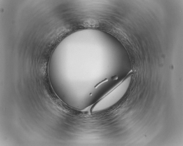 X0000088570652200706151647