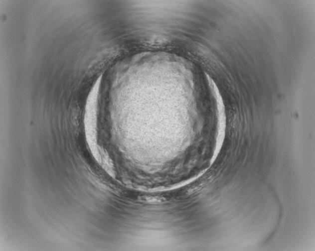 X0000088570654200706151647