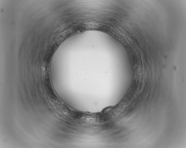 X0000088570655200706151648