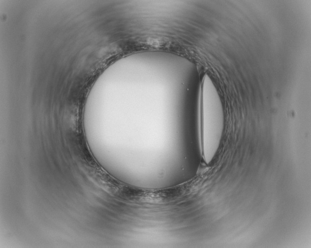 X0000088570656200706151648