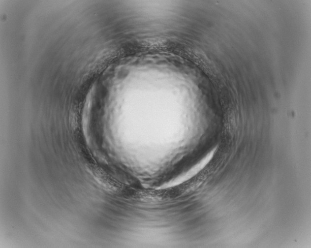 X0000088570658200706151648