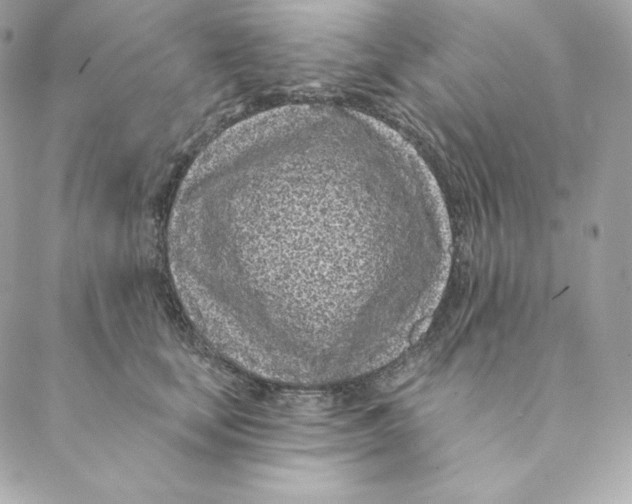 X0000088570659200706151648