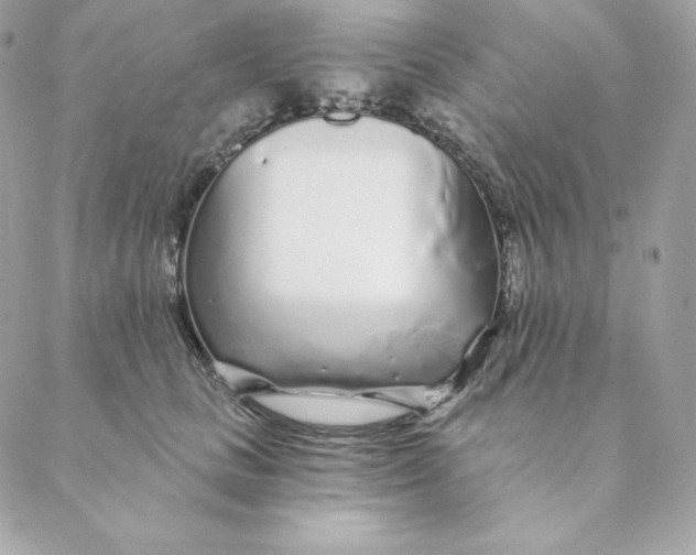 X0000088570661200706151648