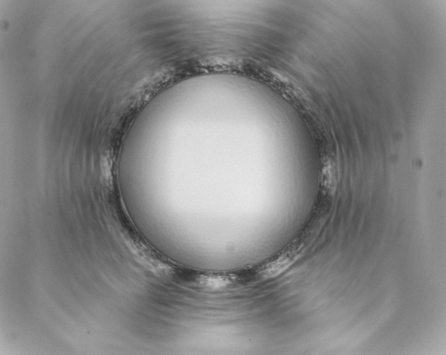 X0000088570662200706151648