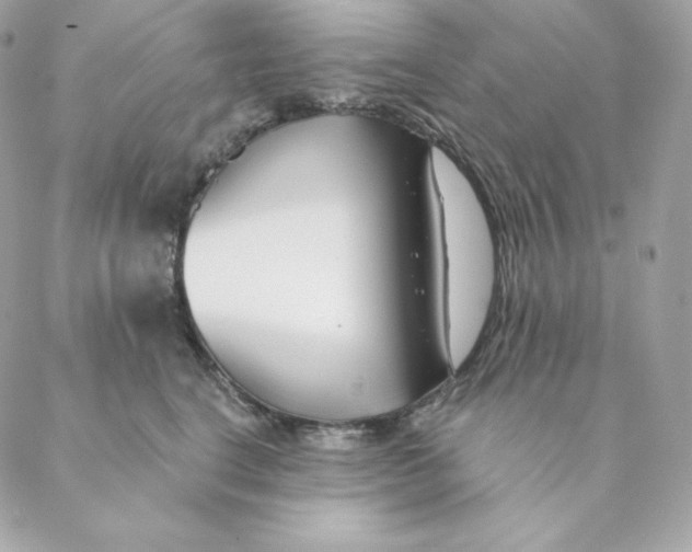 X0000088570664200706151648