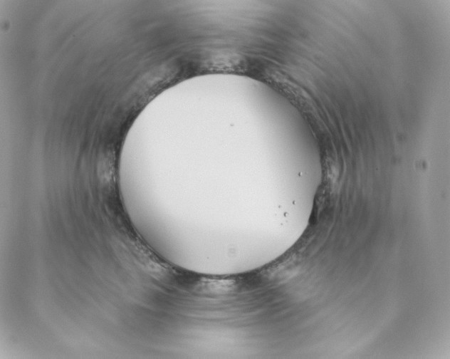 X0000088570665200706151648