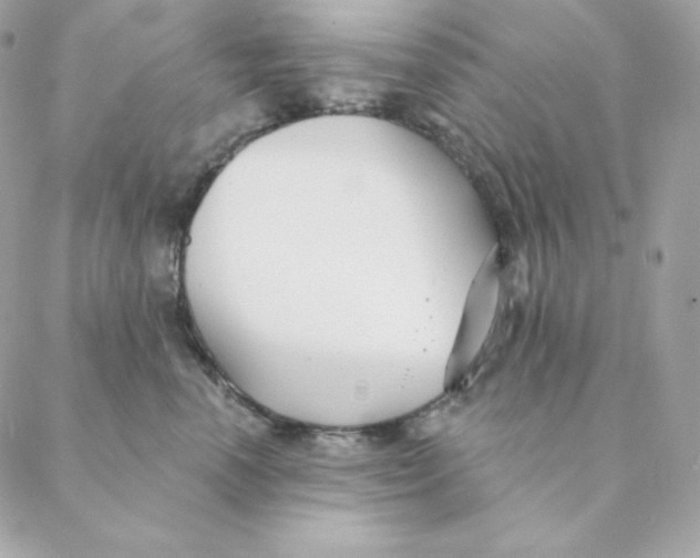 X0000088570666200706151648