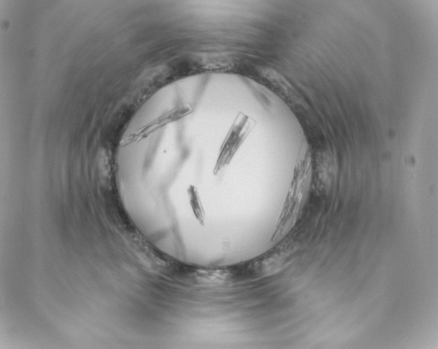 X0000088570667200706151648