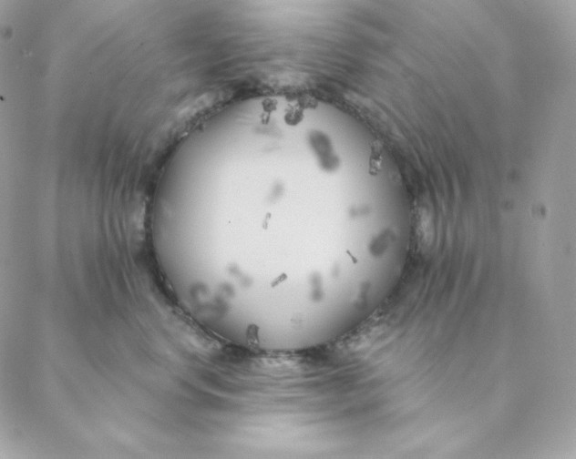 X0000088570668200706151648