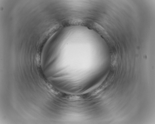 X0000088570669200706151648