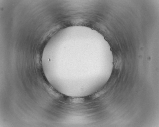 X0000088570670200706151648