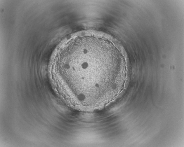 X0000088570671200706151648