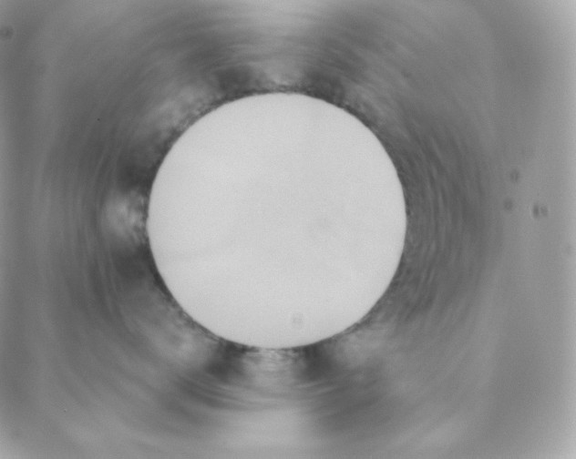 X0000088570672200706151648