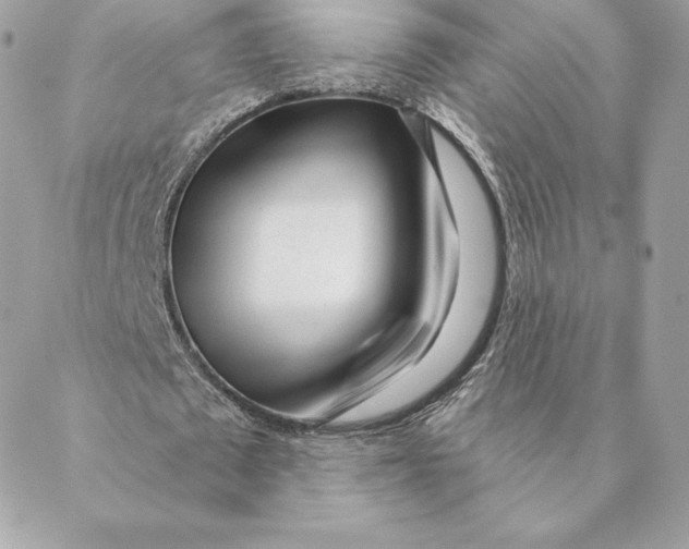 X0000088570673200706151647