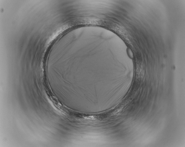 X0000088570674200706151647