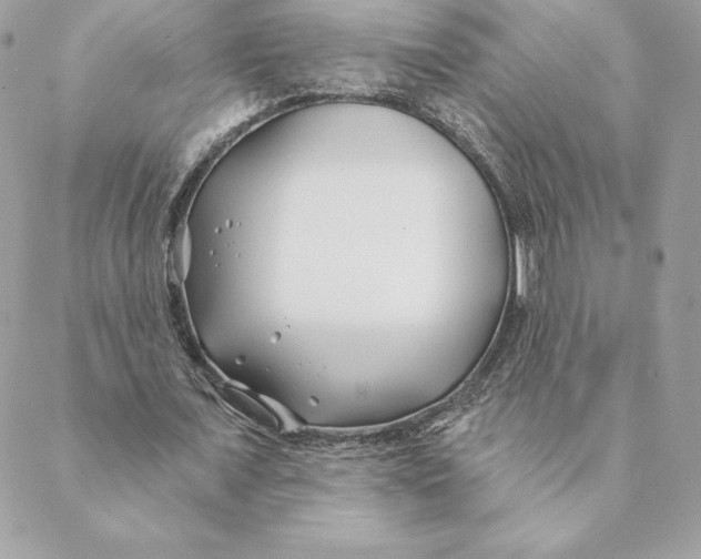 X0000088570675200706151647