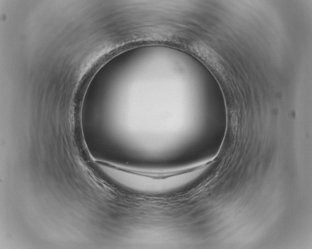 X0000088570676200706151647