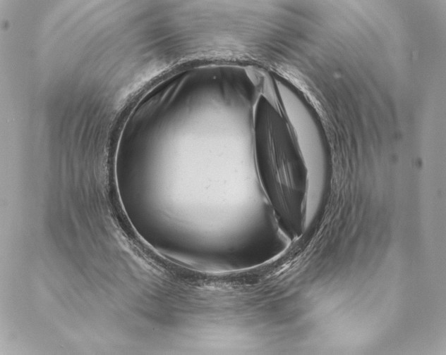 X0000088570677200706151647