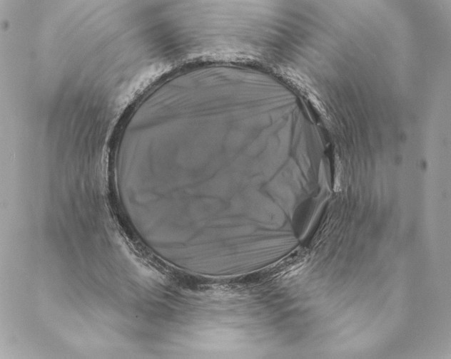 X0000088570678200706151647