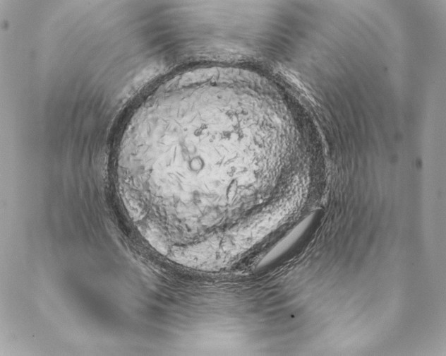 X0000088570679200706151647