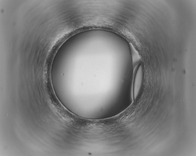 X0000088570680200706151647