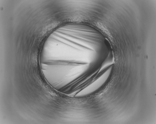 X0000088570681200706151647