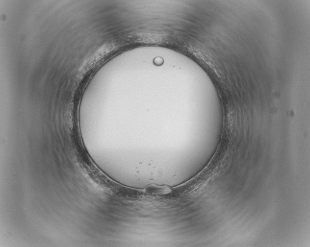 X0000088570682200706151647