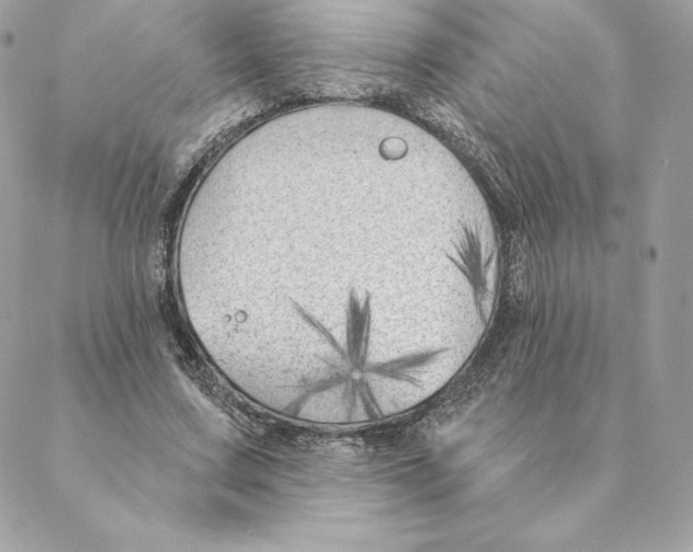 X0000088570683200706151647