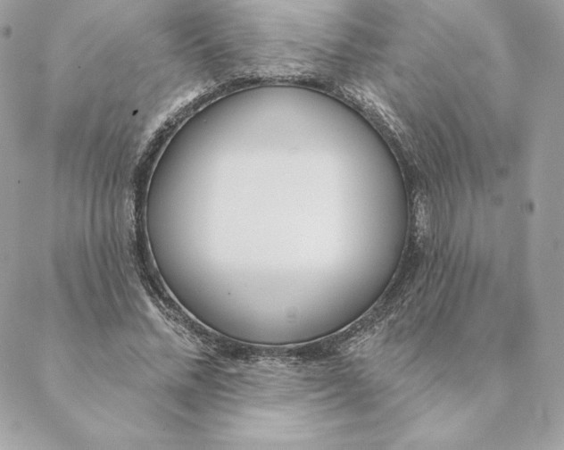 X0000088570684200706151647