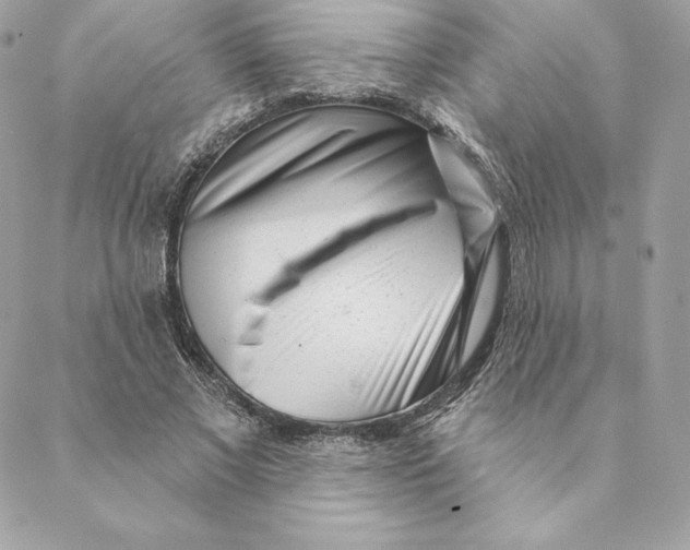 X0000088570685200706151647