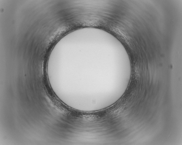 X0000088570686200706151647