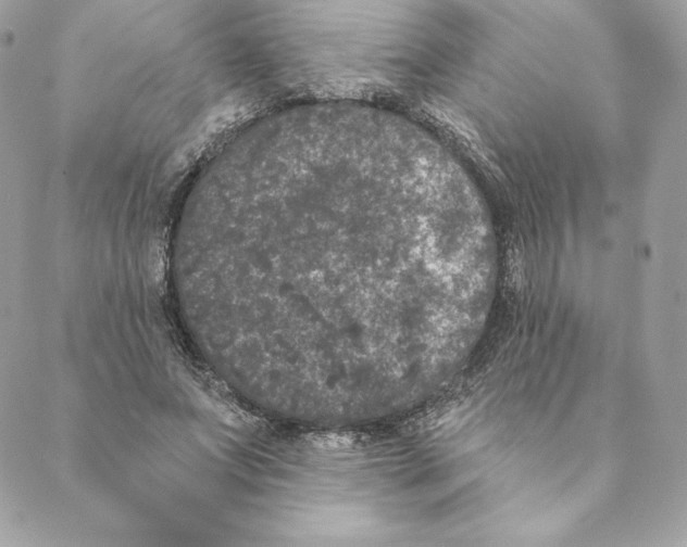 X0000088570687200706151647