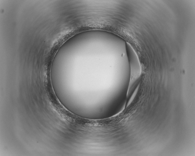 X0000088570688200706151647