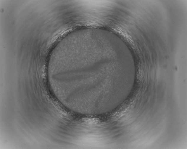 X0000088570689200706151647