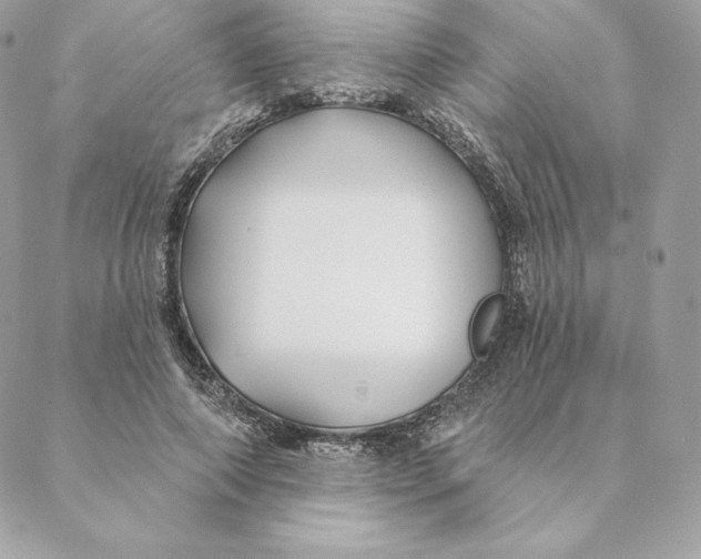 X0000088570690200706151647