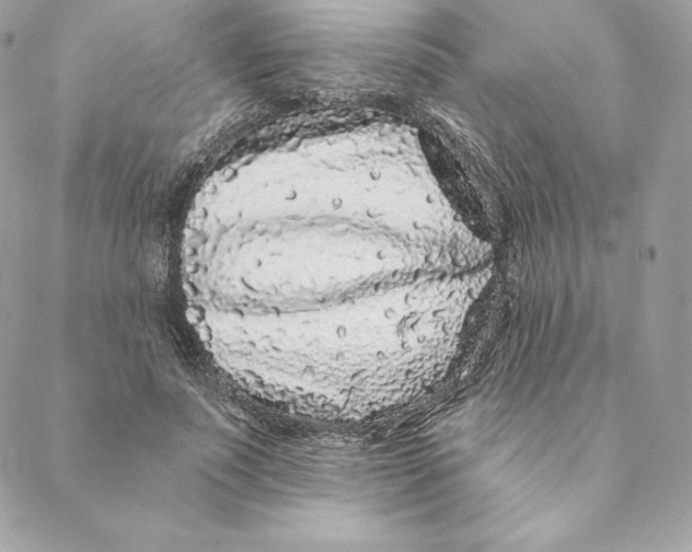 X0000088570691200706151647