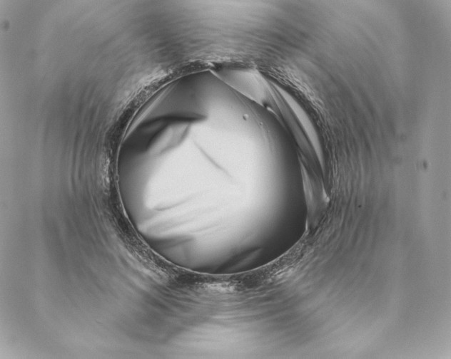 X0000088570692200706151647