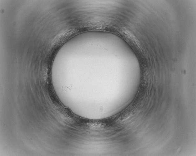 X0000088570693200706151647