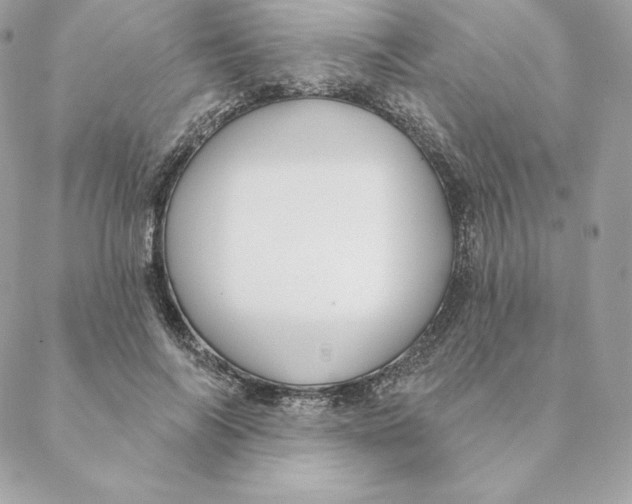 X0000088570694200706151647