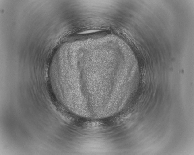 X0000088570695200706151647