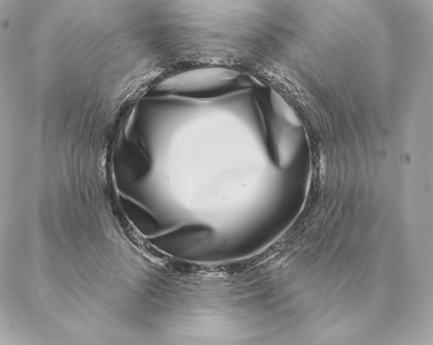 X0000088570696200706151647