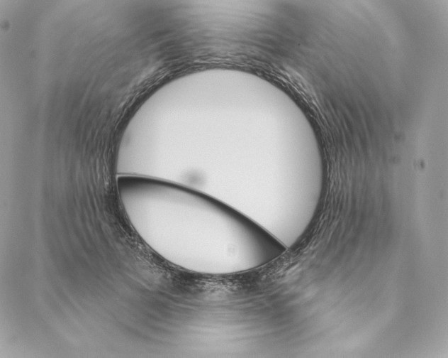 X0000088570697200706151647