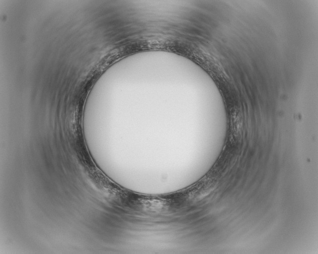 X0000088570698200706151647