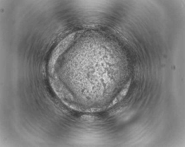 X0000088570699200706151647