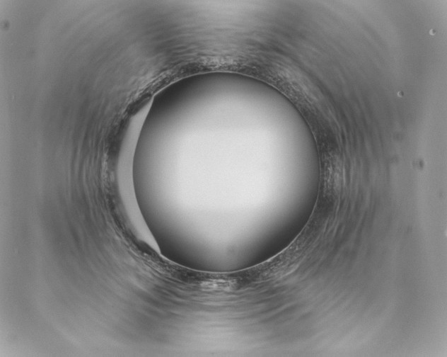 X0000088570700200706151647