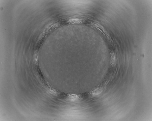 X0000088570701200706151647