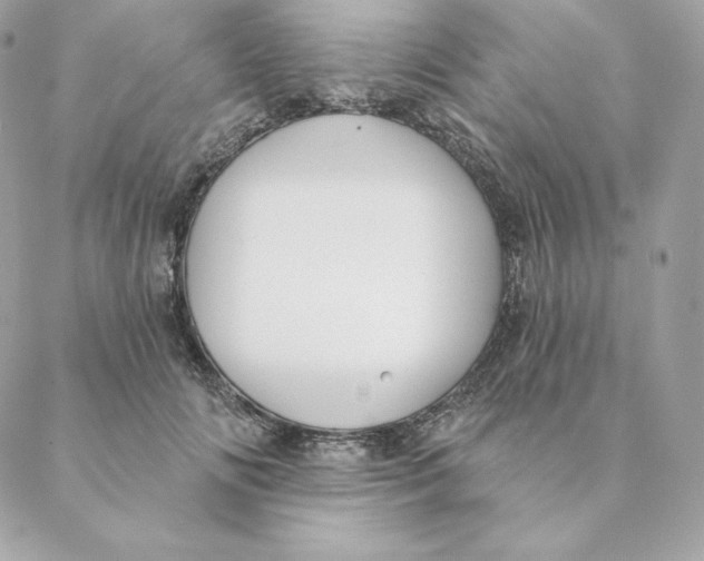 X0000088570702200706151647