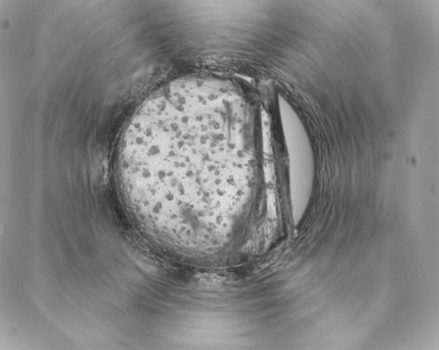 X0000088570703200706151647