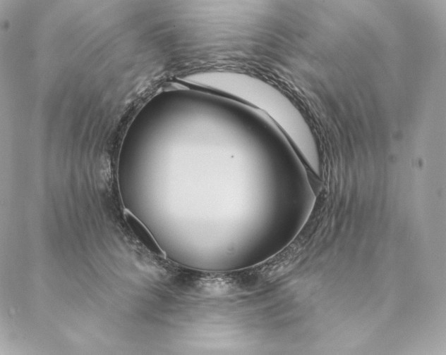 X0000088570704200706151647