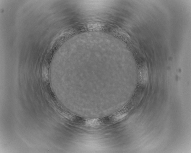 X0000088570705200706151646